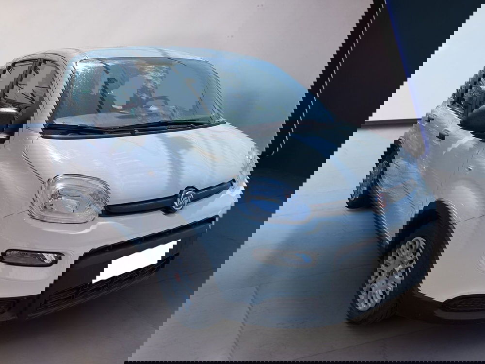 Fiat Panda usata a Torino (3)