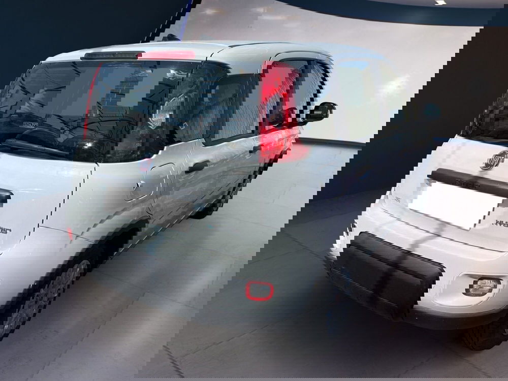 Fiat Panda usata a Torino (4)