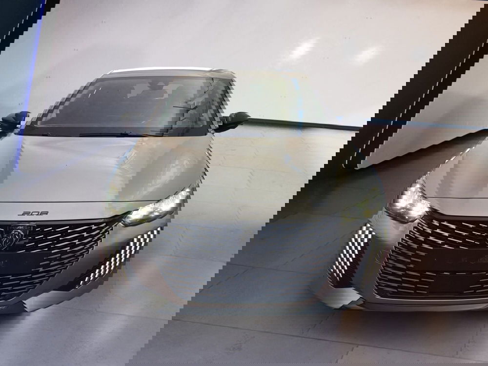 Peugeot 208 usata a Torino