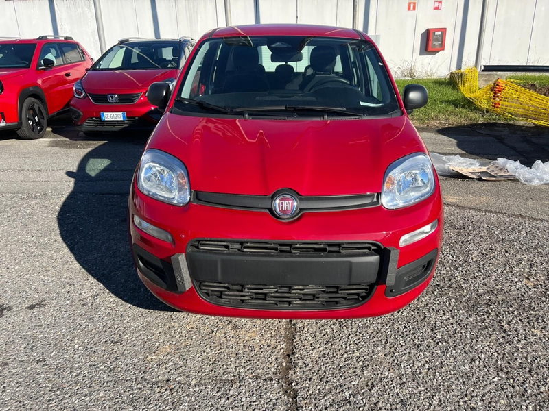 Fiat Panda Cross nuova a Milano (2)