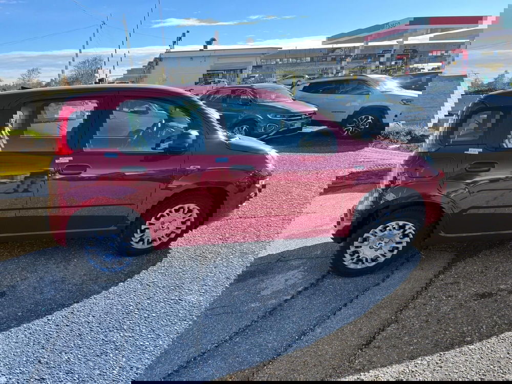 Fiat Panda Cross nuova a Milano (5)