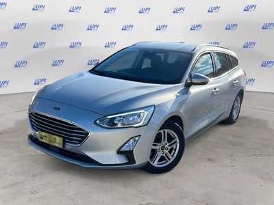 Ford Focus 1.0 EcoBoost 125 CV 5p. ST-Line del 2019 usata a Pistoia