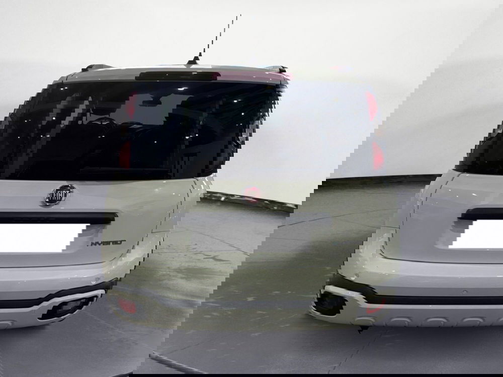 Fiat Panda Cross usata a Caltanissetta (4)