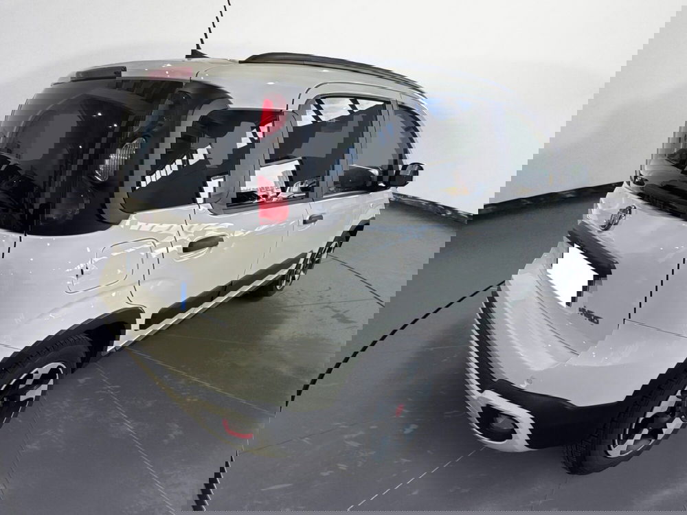 Fiat Panda Cross usata a Caltanissetta (6)