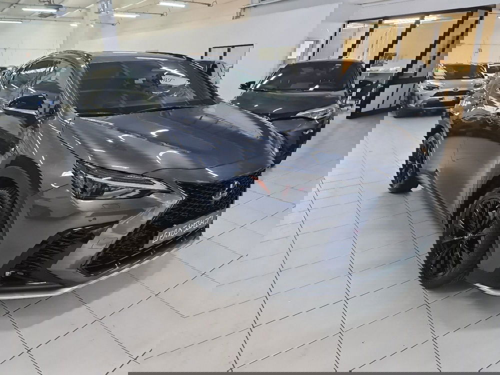 Lexus NX usata a Bologna (3)