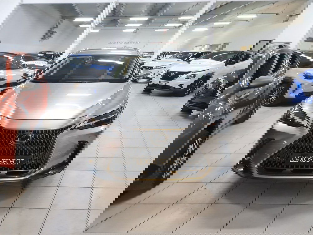 Lexus NX usata a Bologna (2)