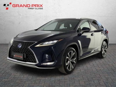 Lexus RX Hybrid Executive del 2020 usata a Castenaso