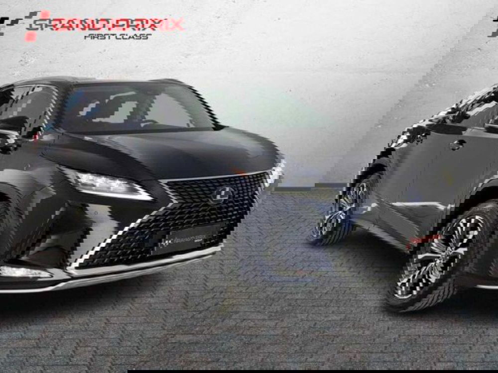 Lexus RX usata a Bologna (2)