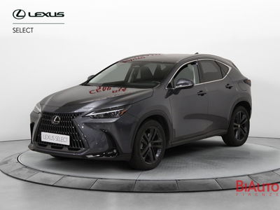 Lexus NX Plug-in 4WD Premium del 2023 usata a Sesto Fiorentino