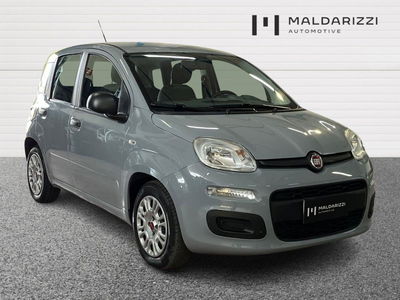 Fiat Panda 1.0 firefly hybrid s&amp;s 70cv 5p.ti del 2022 usata a Bari