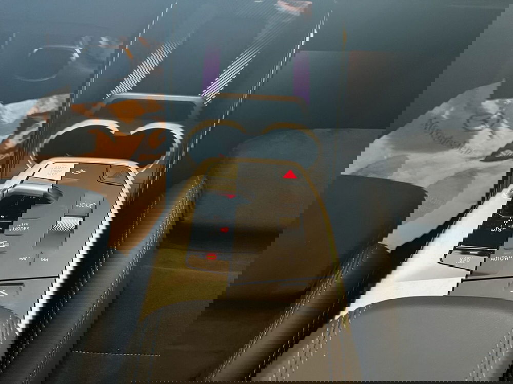 BMW X1 usata a Cosenza (15)