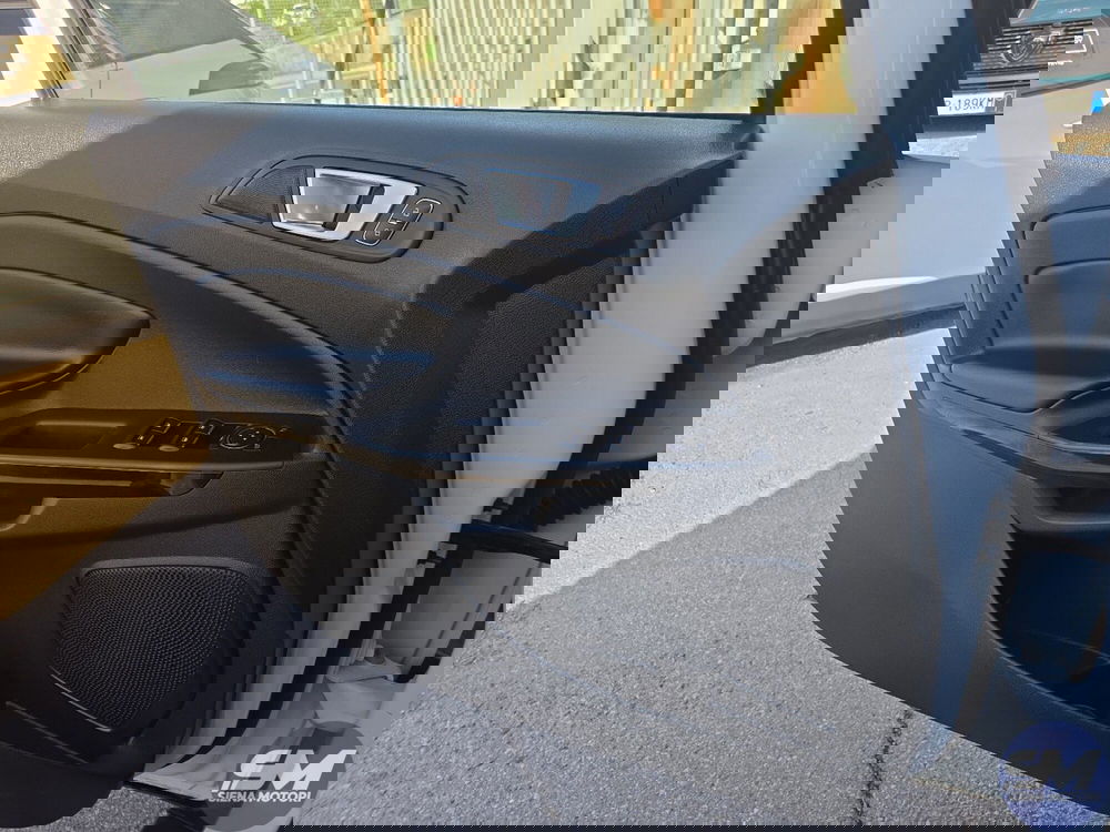 Ford EcoSport usata a Firenze (15)