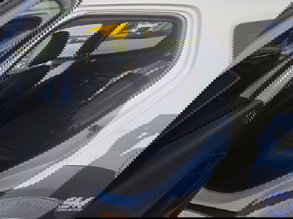 Ford EcoSport usata a Firenze (17)