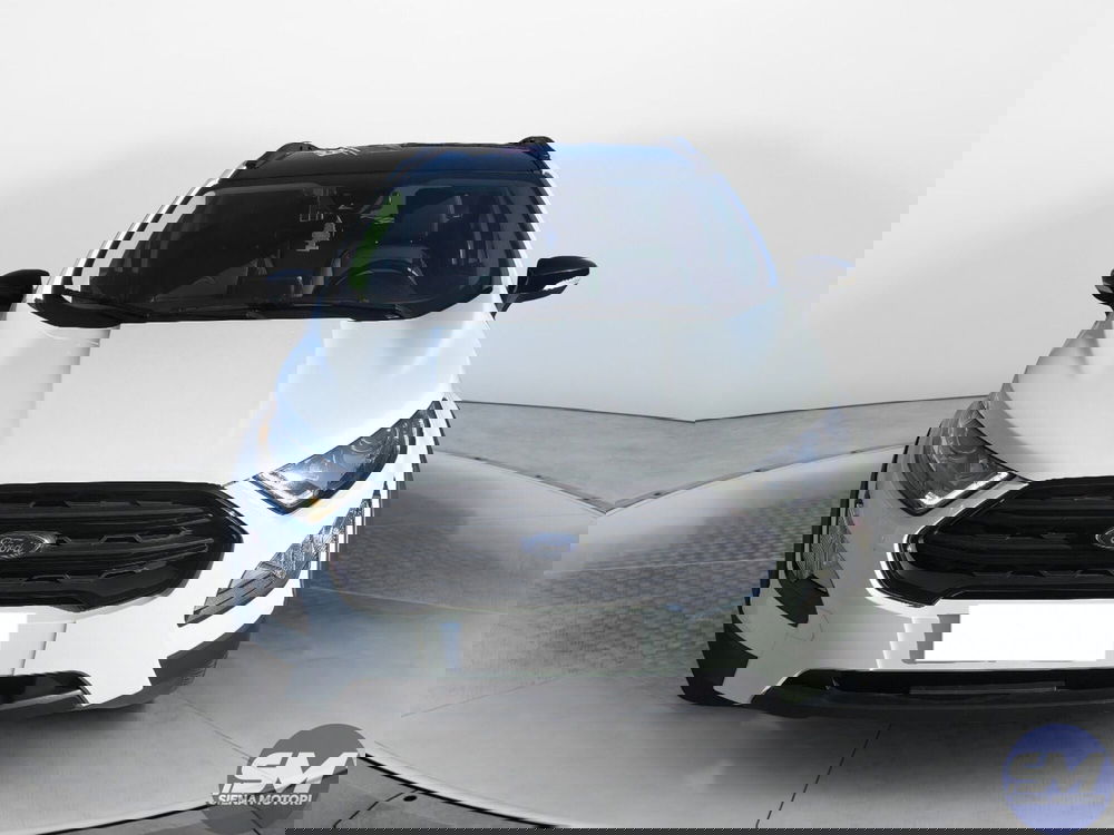 Ford EcoSport usata a Firenze (5)