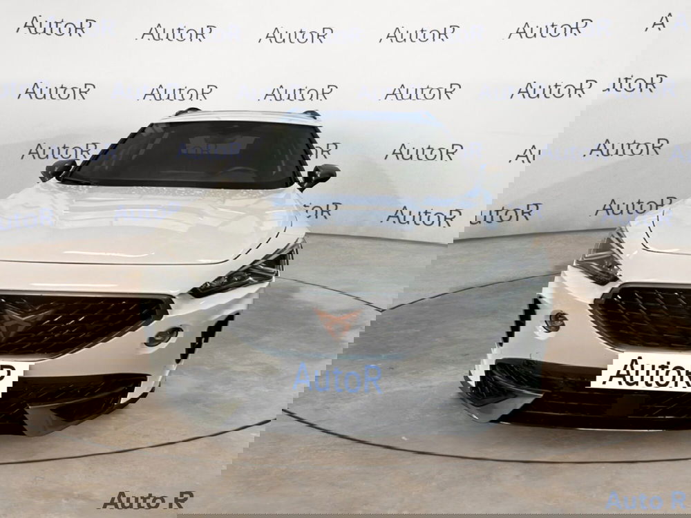 Cupra Formentor usata a Potenza (2)