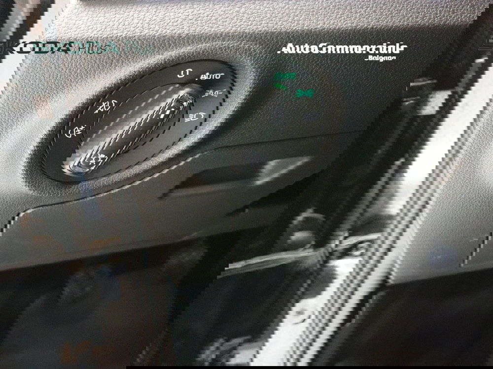 Skoda Kamiq usata a Bologna (18)