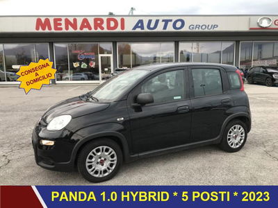 Fiat Panda 1.0 FireFly S&amp;S Hybrid Easy del 2023 usata a Bernezzo