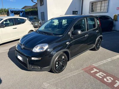Fiat Panda 1.0 FireFly S&amp;S Hybrid City Cross del 2023 usata a Altopascio