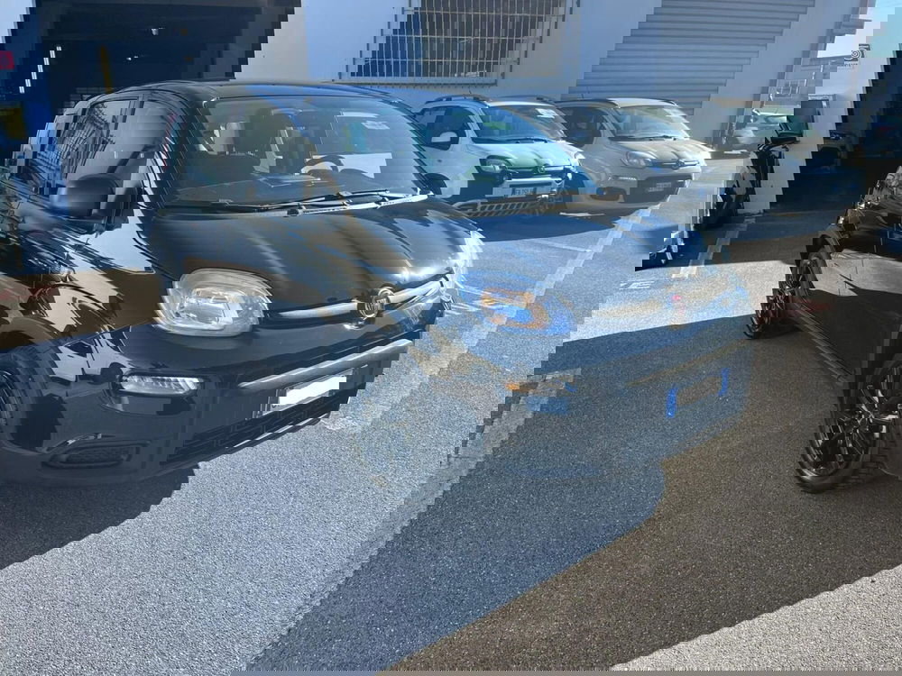 Fiat Panda usata a Lucca (3)