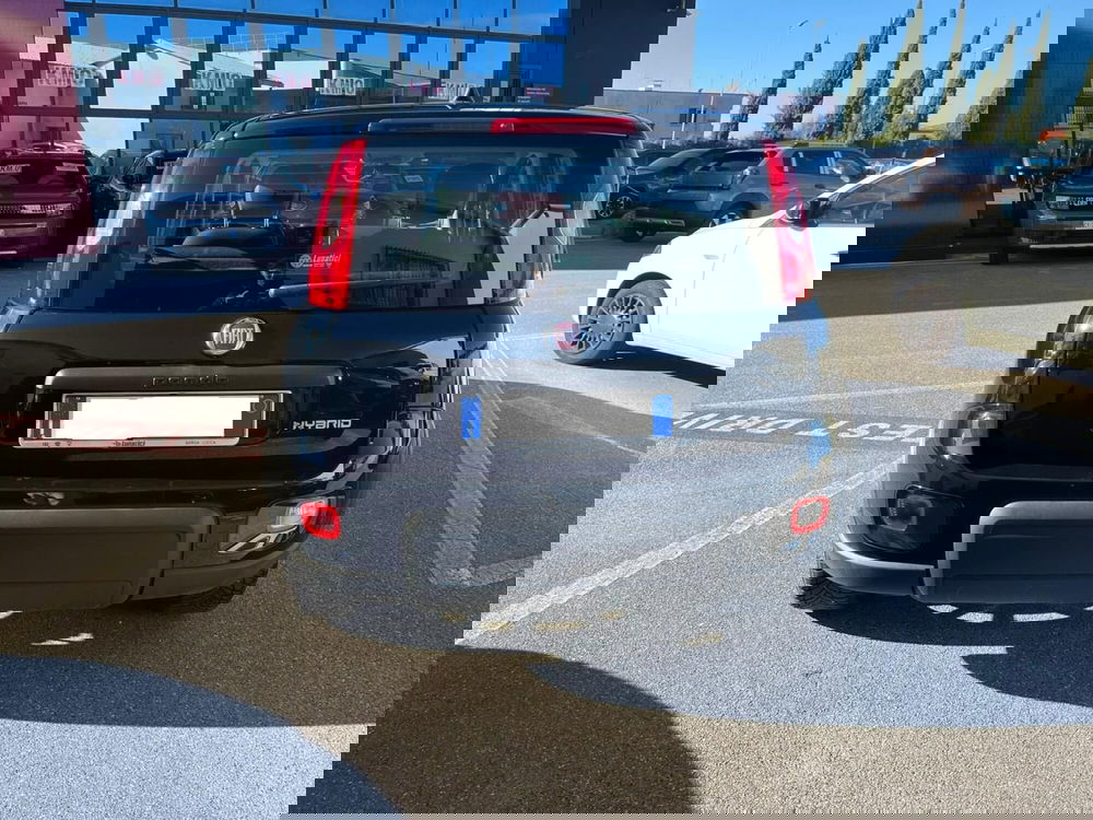 Fiat Panda usata a Lucca (6)