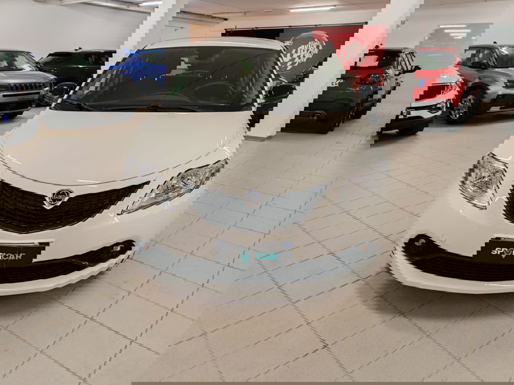 Lancia Ypsilon usata a Arezzo (3)