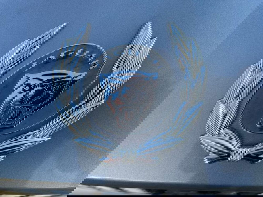 Jaguar I-Pace usata a Livorno (18)