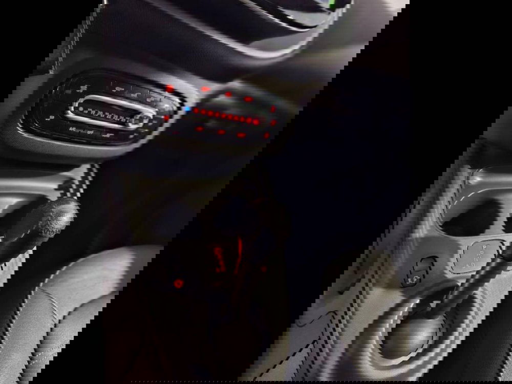 smart forfour usata a Torino (10)