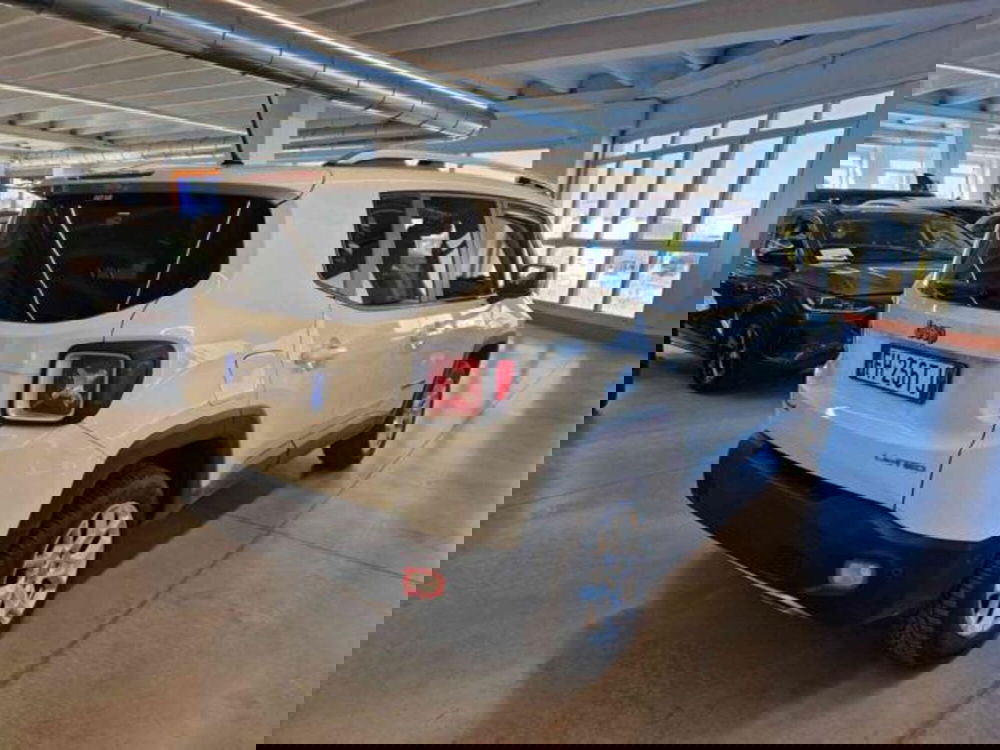 Jeep Renegade usata a Bologna (5)