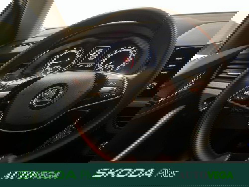 Skoda Kamiq usata a Vicenza (9)