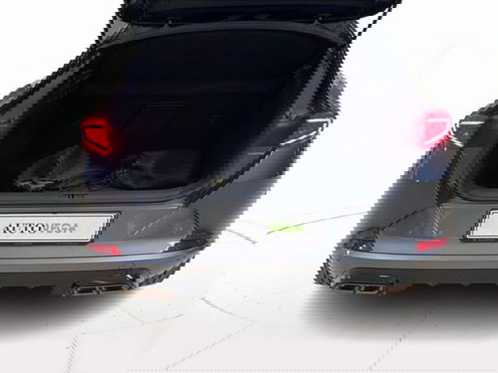 Cupra Formentor usata a Vicenza (18)