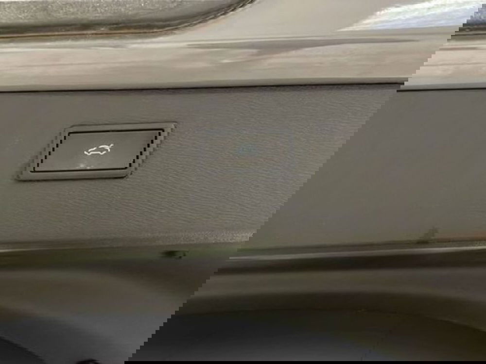 Cupra Formentor usata a Vicenza (18)