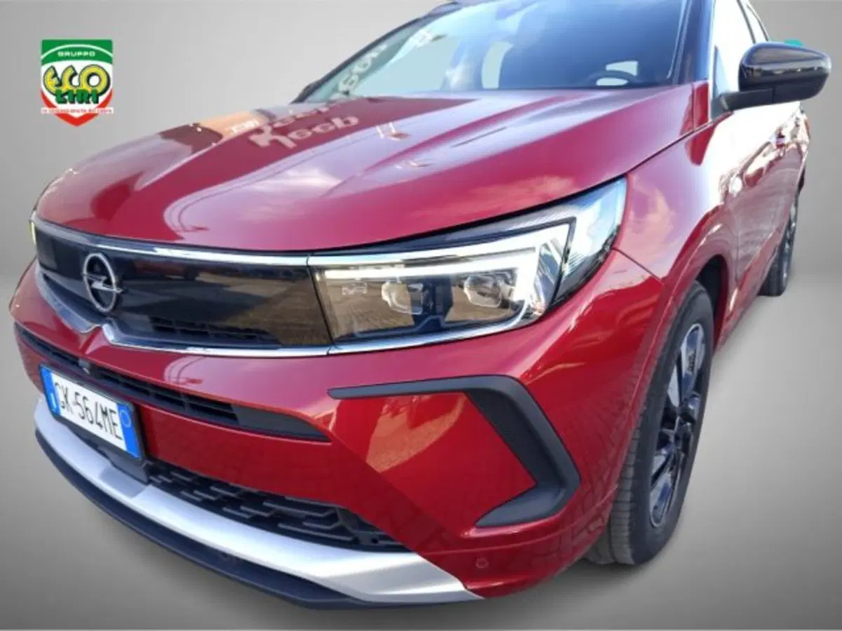 Opel Grandland usata a Frosinone (15)