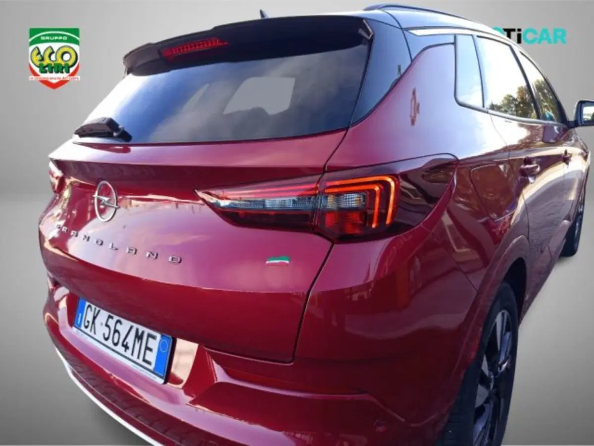 Opel Grandland usata a Frosinone (16)