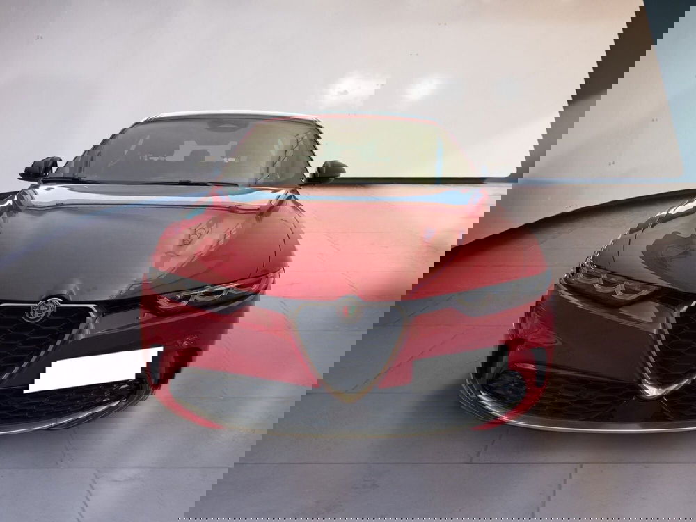 Alfa Romeo Tonale usata a Torino