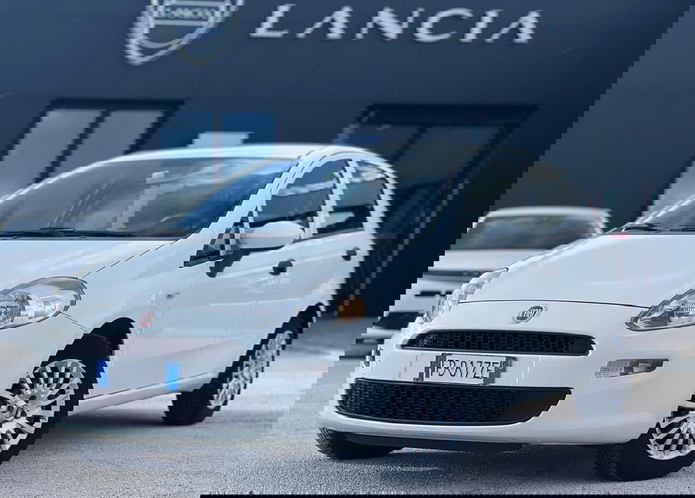 Fiat Punto usata a Matera