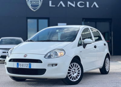 Fiat Punto 1.2 8V 5 porte Street del 2016 usata a Matera