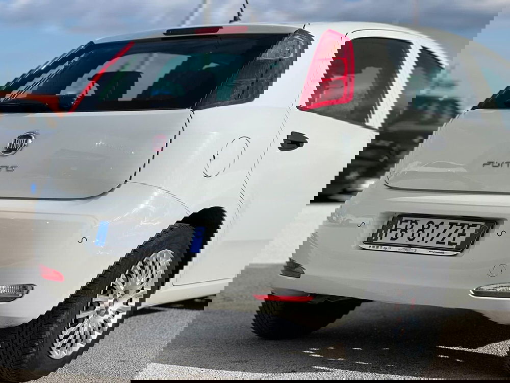 Fiat Punto usata a Matera (10)