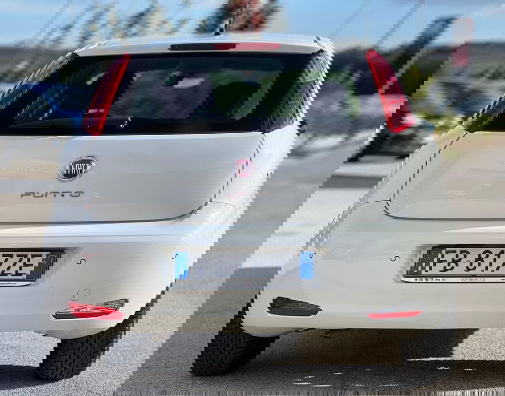 Fiat Punto usata a Matera (6)