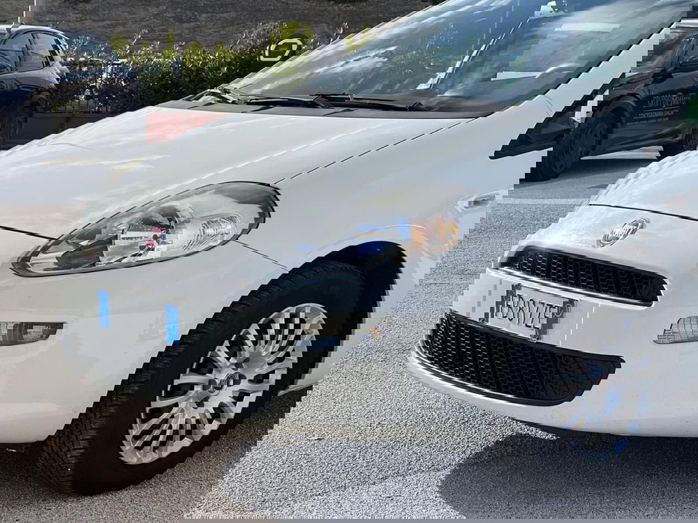 Fiat Punto usata a Matera (9)