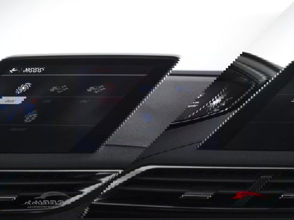 Peugeot 3008 usata a Perugia (15)