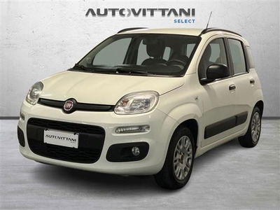 Fiat Panda 1.2 Lounge del 2014 usata a Como