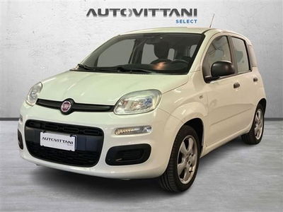 Fiat Panda 1.2 EasyPower Easy del 2019 usata a Como