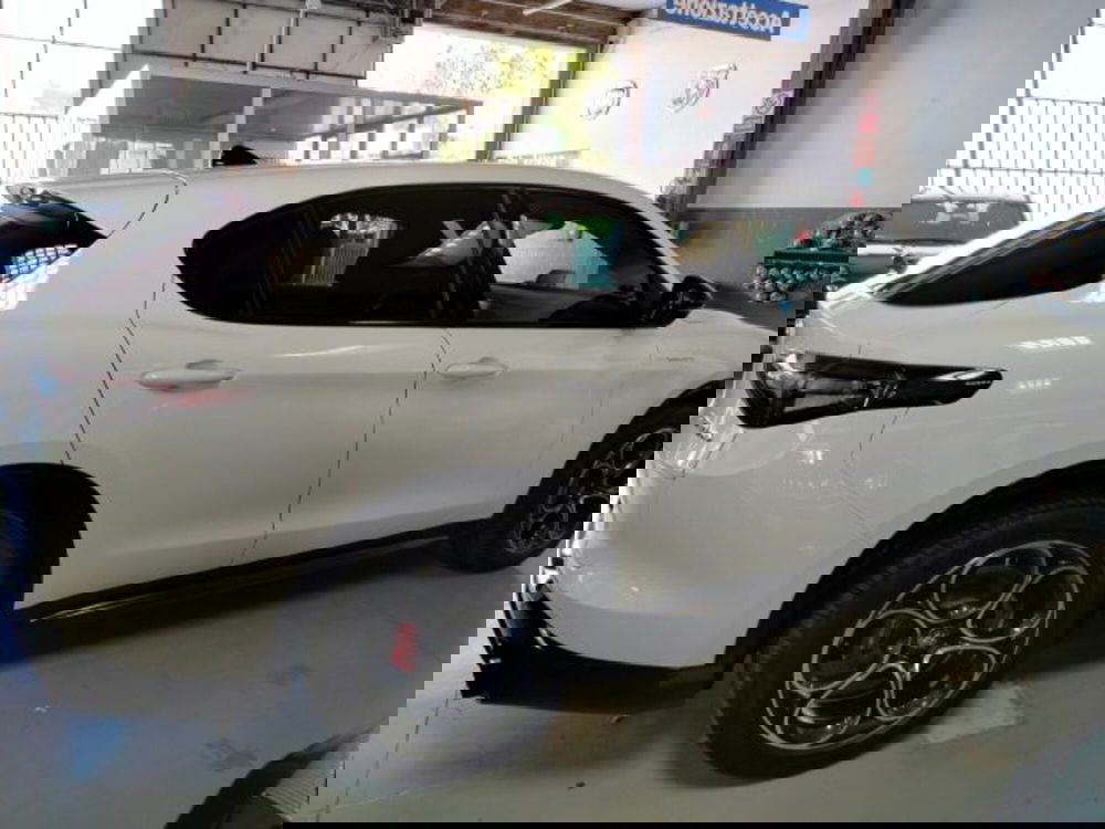 Alfa Romeo Stelvio usata a Forlì-Cesena (13)