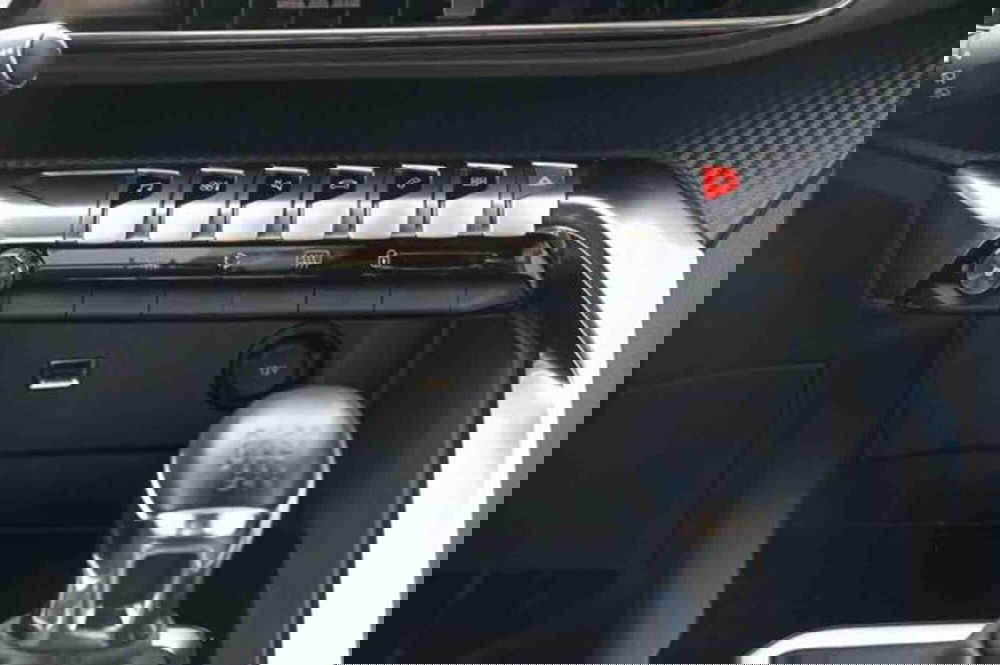 Peugeot 3008 usata a Torino (19)