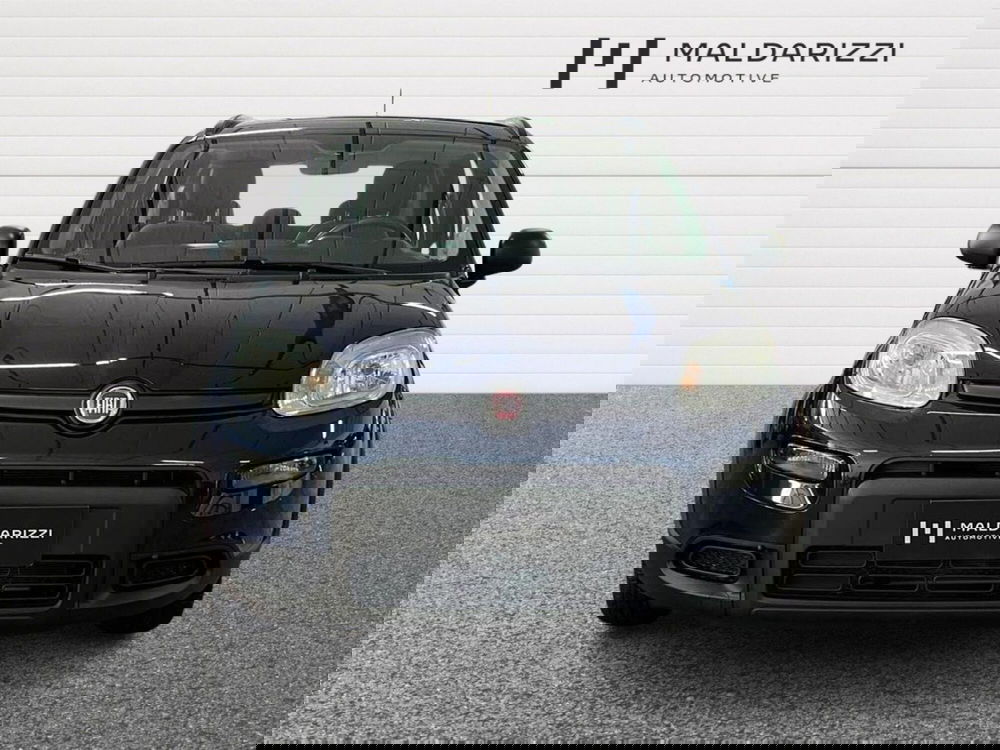 Fiat Panda usata a Taranto (2)
