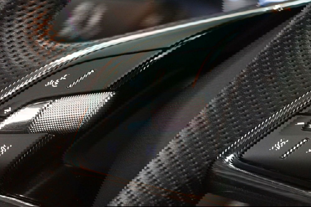 Skoda Karoq usata a Torino (15)