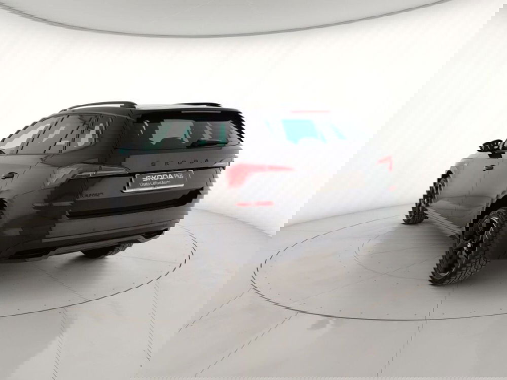 Skoda Kamiq usata a Massa-Carrara (2)