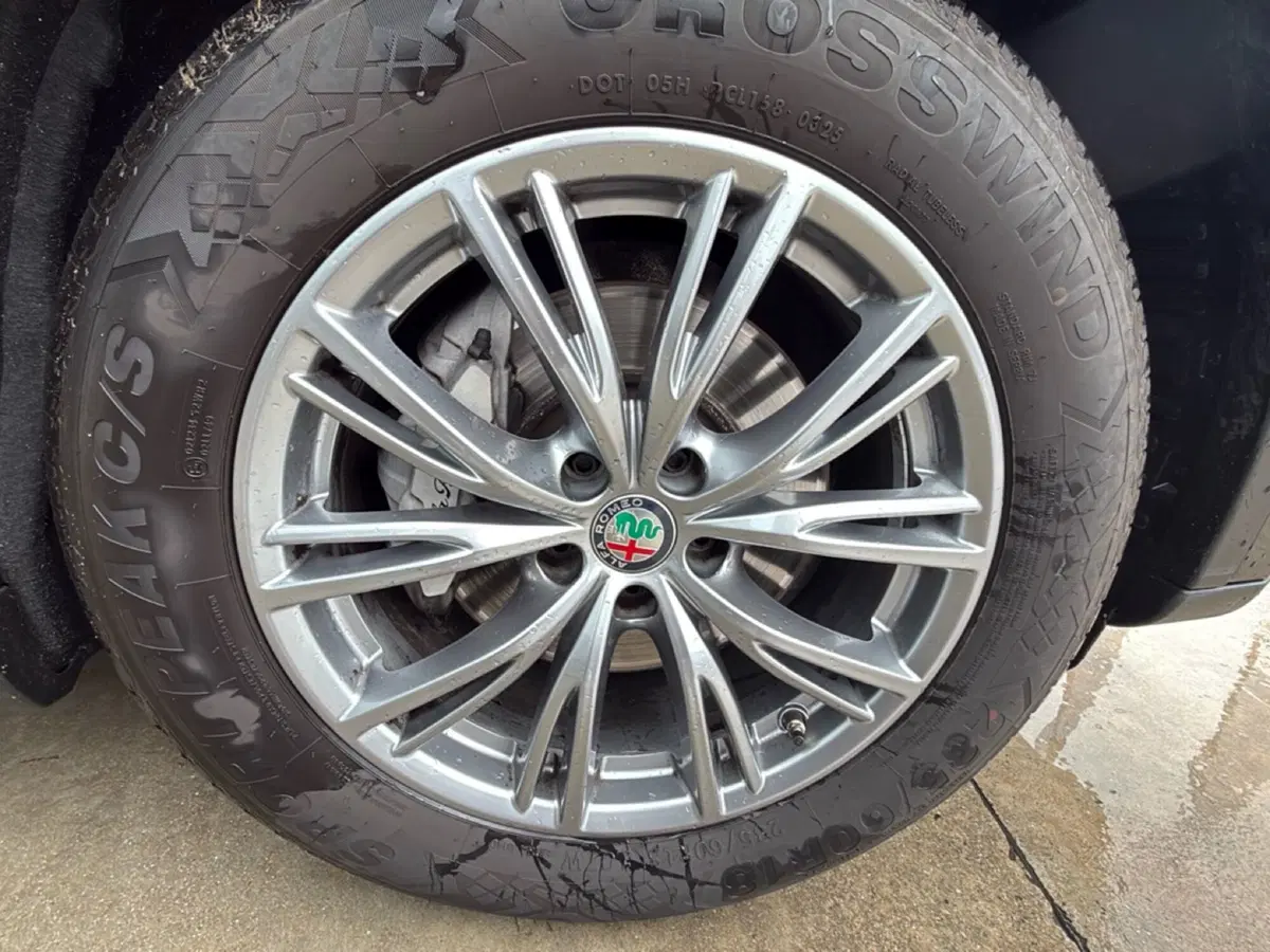 Alfa Romeo Stelvio usata a Cosenza (15)