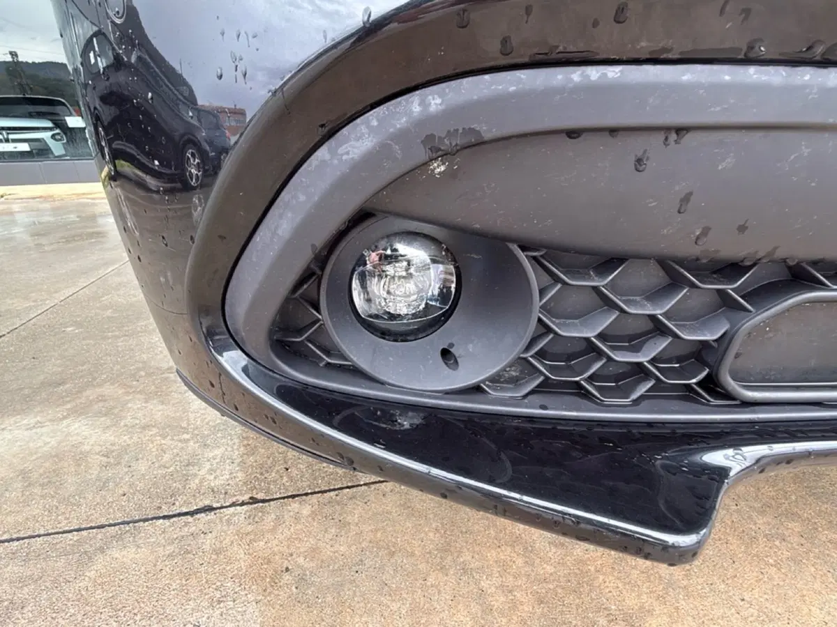 Alfa Romeo Stelvio usata a Cosenza (16)