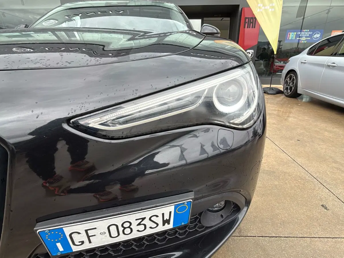 Alfa Romeo Stelvio usata a Cosenza (9)